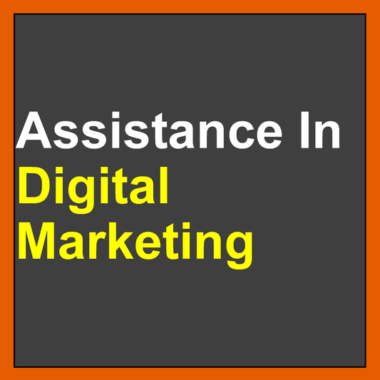 Assisting business owners to market their products/services online